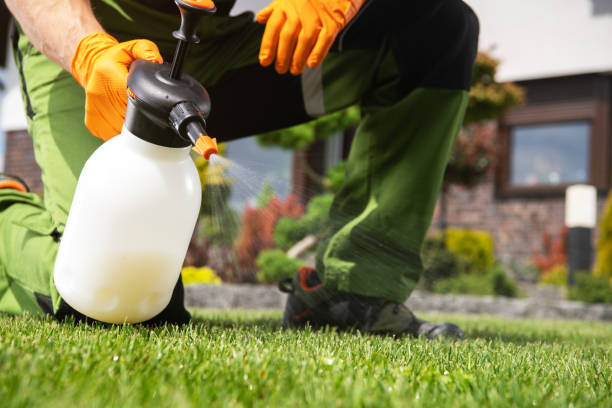 Best Residential Pest Control  in Edina, MN