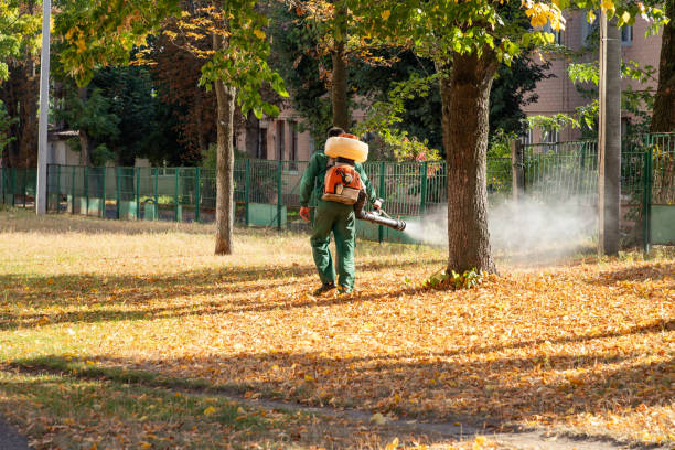 Best Pest Removal Services  in Edina, MN