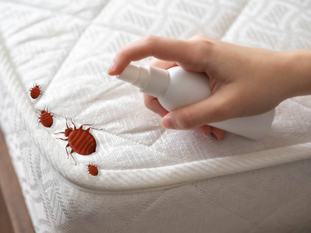 Best Pest Prevention Services  in Edina, MN